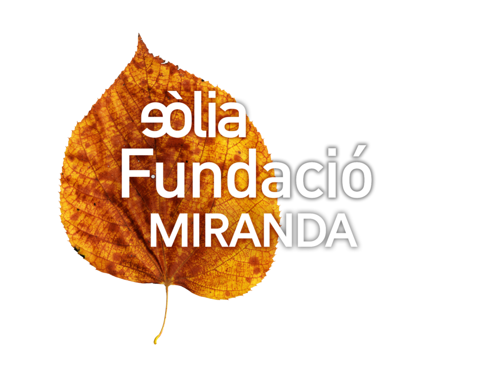 Logo Fundacio_fons clar